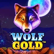 Wolf Gold Wolf Gold